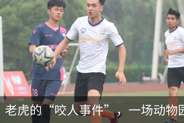 老虎的“咬人事件”，一场动物园的悲剧