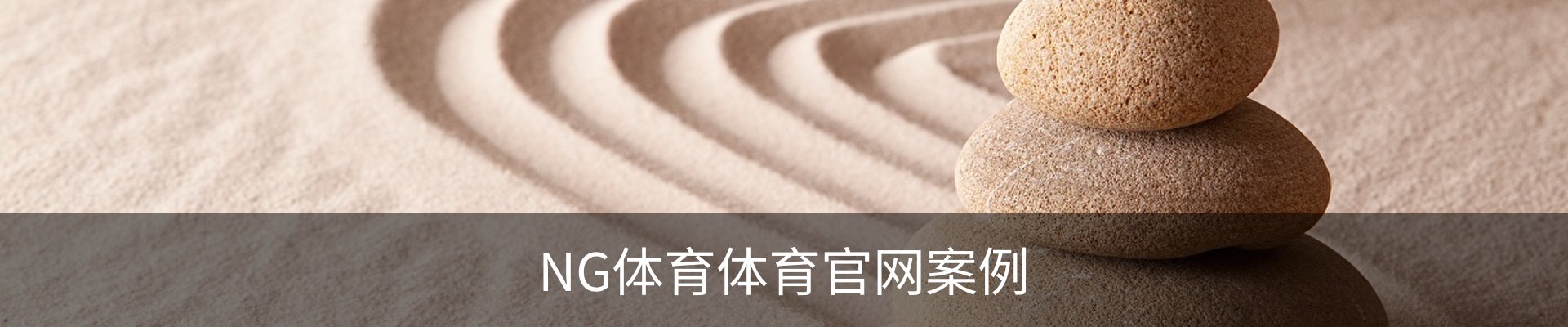 NG体育体育官网案例
